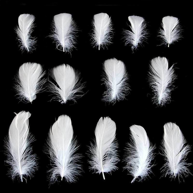Lamar Feather Lamar 300Pcs 2-3'' White Feathers Bulk for Crafting, Dream Catcher Accessories, Art Projects, DIY Crafting, Handi Crafts, Party Decoration (White) - Image 2